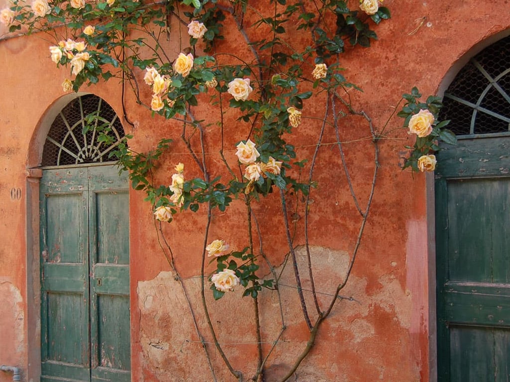 Marta | A spacious apartment for 6 in Montestigliano