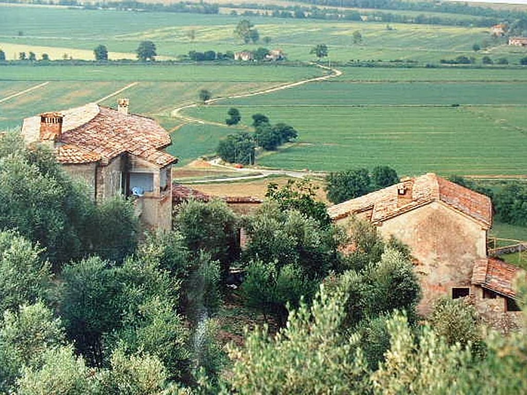 Ropoli Sotto | A Tuscan farmhouse set in an olive grove