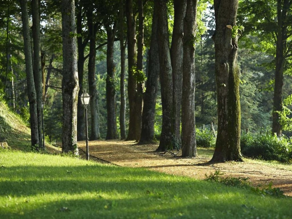 Villa Rosetta | Historic Wedding Villa in Tuscany