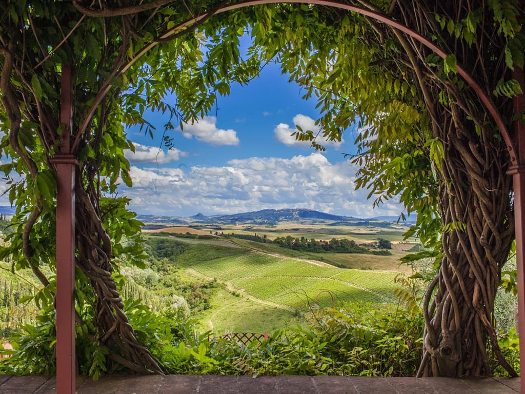 Glicine | Villa and pool in a small Tuscan village