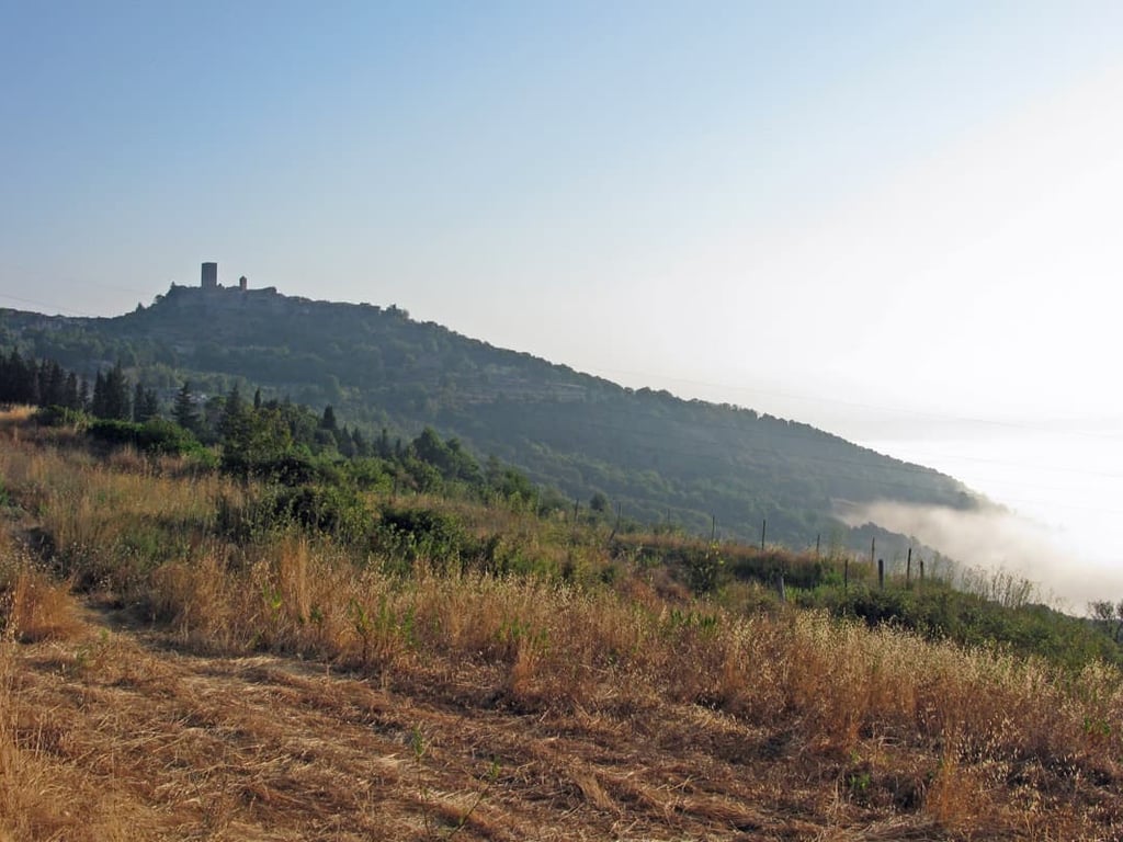 Torre del Merlo | Medieval Tower for 4 with a pool in the olive grove