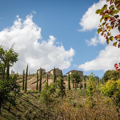 Albero | Villa & Pool in the heart of Chianti 