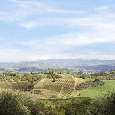 Casa Andrea | San Gimignano cottage for 4 with a hot tub