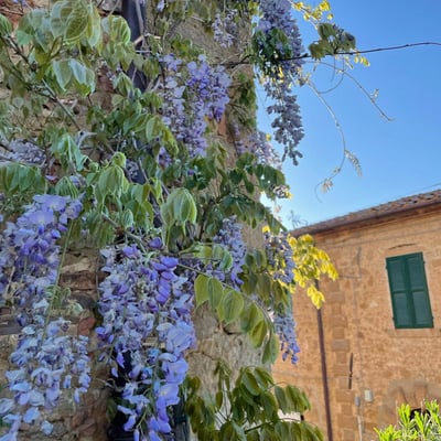 Casa Etrusca | An elegant home in an Etruscan village