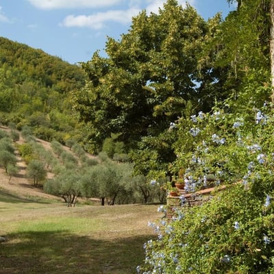 The Green hills of Chianti surround Docciole