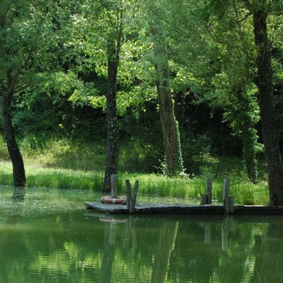Lake near Docciole villa