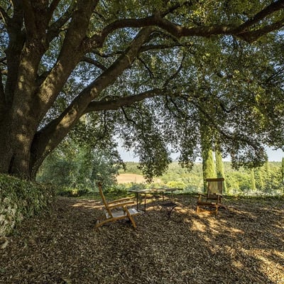 Ginestreto | Tuscan Villa with pool and Tennis court