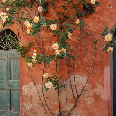 Marta | A spacious apartment for 6 in Montestigliano