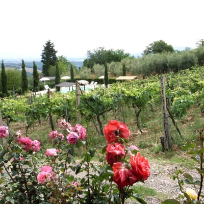 Noce | Charming cottage on Agriturismo by Casole d'Elsa