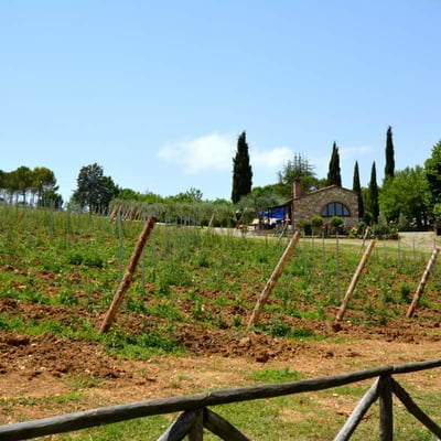 Noce | Charming cottage on Agriturismo by Casole d'Elsa