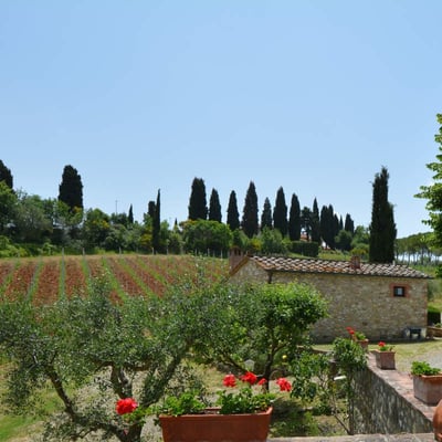 Noce | Charming cottage on Agriturismo by Casole d'Elsa