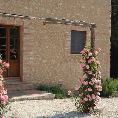Pipistrelli | Luxury villa and pool in private woods near Siena
