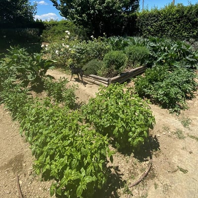 Podere Sant'Adele | Private Tuscan Villa for ten near Cetona