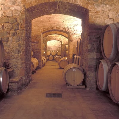 Sangiovese | Spacious apartment in Chianti with wonderful views