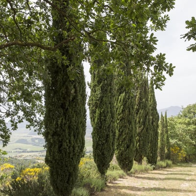 Valdorcia | Val d'Orcia Villa for 8 with Pool and Stunning Views