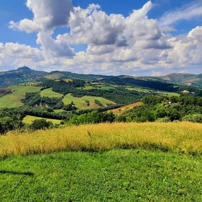 Villa Bianca | Elegant villa for 26 in the Val d'Orcia