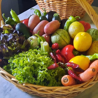 Villa Bianca | Elegant villa for 26 in the Val d'Orcia