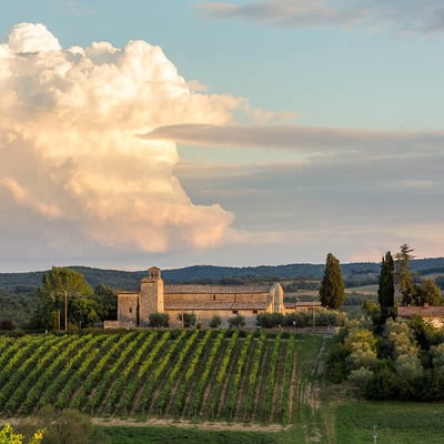 Villa Goga | Historic Villa and Pool near Siena