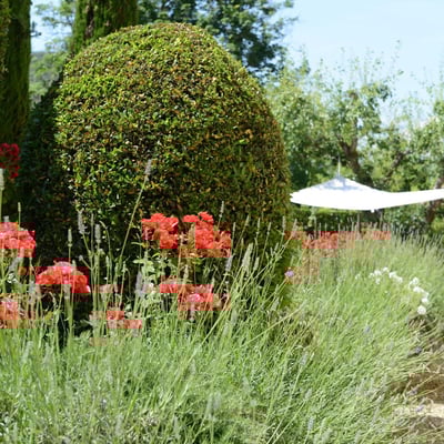 Orologio | Tuscan villa near Lucca and the Italian Riviera
