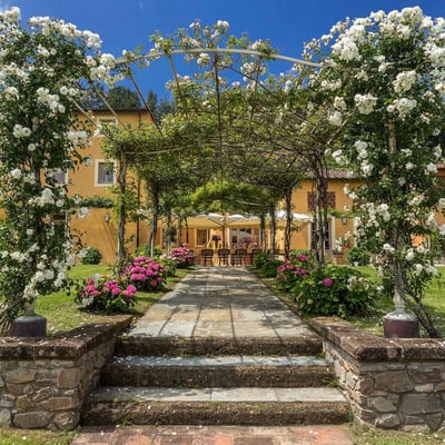 Salvestro | Sumptuous Tuscan villa surrounded by olive groves