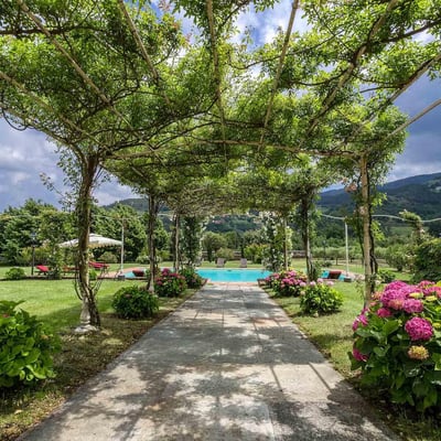 Salvestro | Sumptuous Tuscan villa surrounded by olive groves