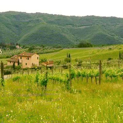 The Hay Loft | Agriturismo for 6 on an Italian wine estate