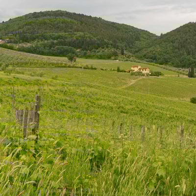 Vendemmia | Tuscan apartment on a wine estate near Florence