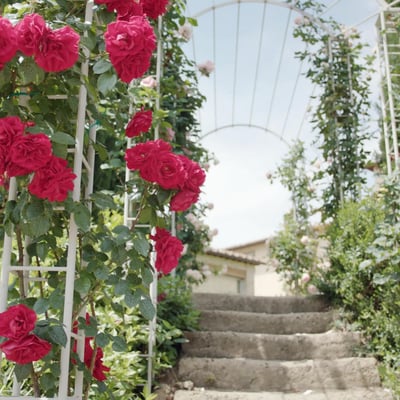 Villa del Chianti | Villa for 12 with a swimming pool and spa