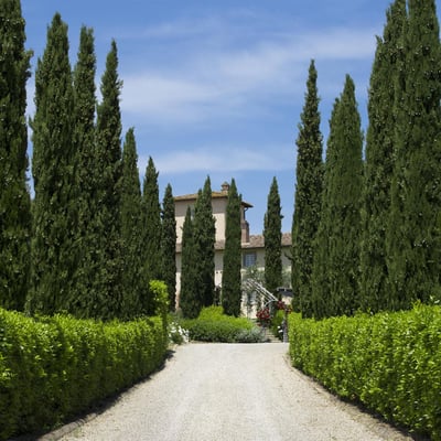 Villa del Chianti | Villa for 12 with a swimming pool and spa