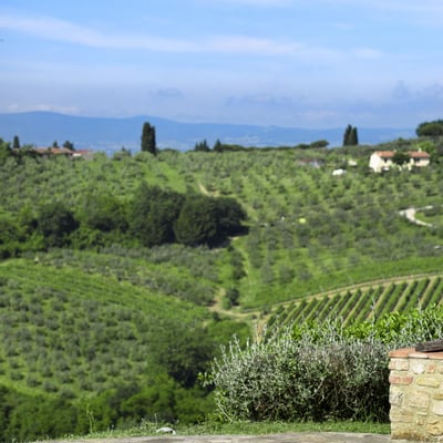 Villa del Chianti | Villa for 12 with a swimming pool and spa