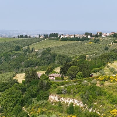 Villa San Donato | A Tuscan Villa for Ten Amid Vineyards and Olive Groves