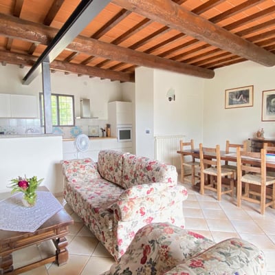 The living room has a fireplace for autum evenings