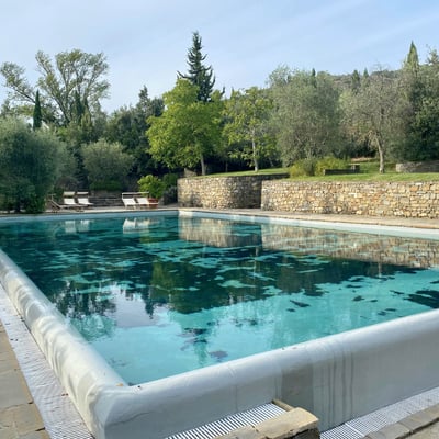 The pool is set among the olive and fruit trees of the estate's gardens