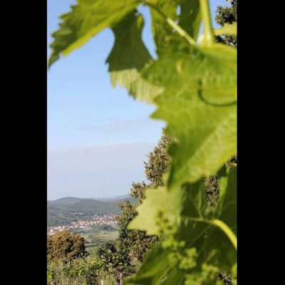 Casa Allioni Villa for 6 in Tuscany