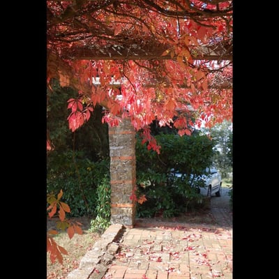 Casa Allioni Villa for 6 in Tuscany