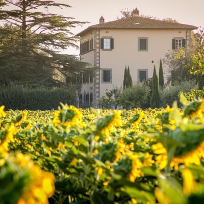 Villa Cortona | Historic Wedding Villa for 18 close to Cortona with pool