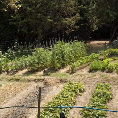 Villa Amorosa | Tuscan Villa for 12 with fenced pool and tennis court