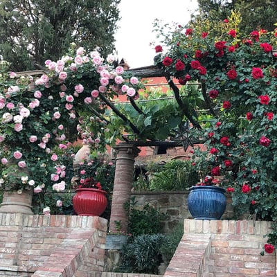 Villa dei Fiori | Charming Tuscan Villa for 4 with private pool and gardens