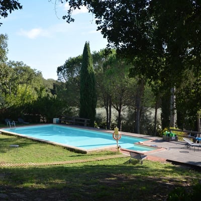 San Romito | Romantic apartment and roof terrace in Tuscan Olive Groves