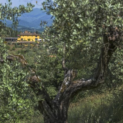 Panfilo | A modern Tuscan villa and pool for 14