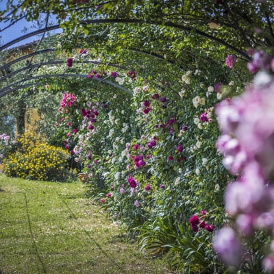 Panfilo | A modern Tuscan villa and pool for 14