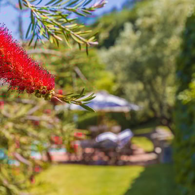 Villa Falesia | Luxury Tuscany Villa with Fantastic Views