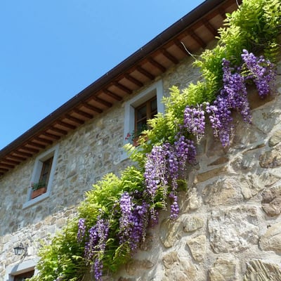 Castelonchio | Villa for 6 with Private Pool on Lake Trasimeno