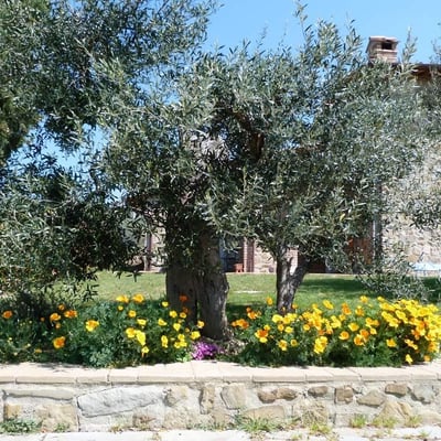 Castelonchio | Villa for 6 with Private Pool on Lake Trasimeno