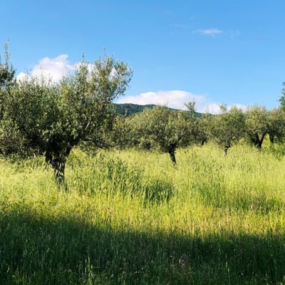 Castelonchio | Villa for 6 with Private Pool on Lake Trasimeno