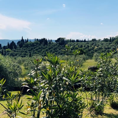 Castelonchio | Villa for 6 with Private Pool on Lake Trasimeno