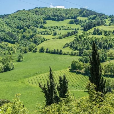 Torretta | Villa and Pool by village in Emilia-Romagna