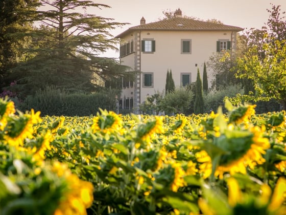 Villa Cortona