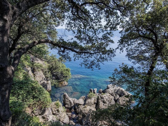 Italian Waterfront Villas