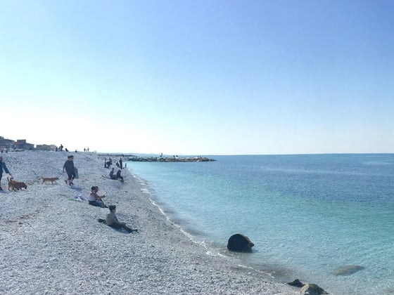 Good Restaurants in Pisa